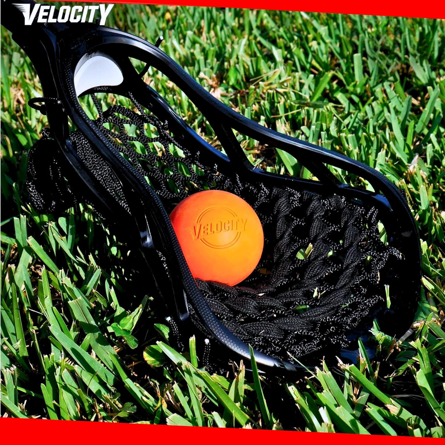 Velocity Lacrosse Balls - 1, 2, 3, 6, 12, 18, 24, 36, 60 and 120 Packs - for Practice, Official NFHS and College Approved Size